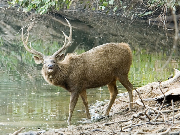 ஹர்கே சதுப்பு நிலம்