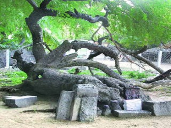 அருகிலுள்ள சுற்றுலாத் தளங்கள்