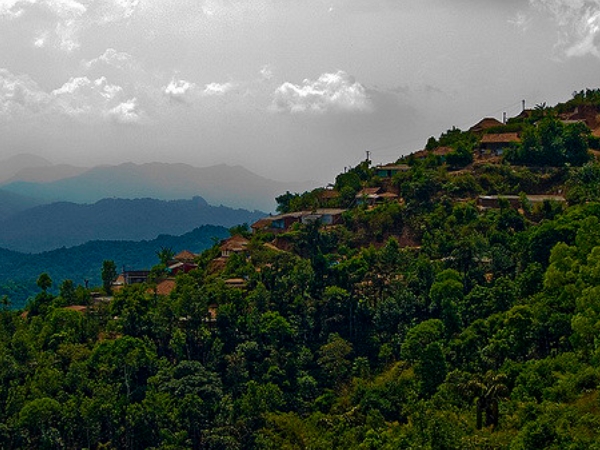 காட்டுயிர்வாழ்க்கை