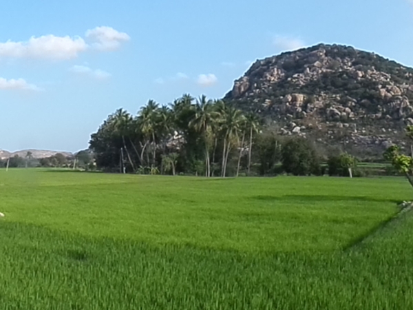 சாகச விரும்பிகளுக்காக... சாகச விரும்பிகளுக்காக...