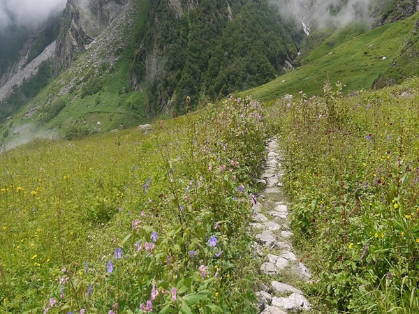  பூக்களின் பள்ளத்தாக்கு