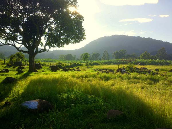 ஏலகிரி 