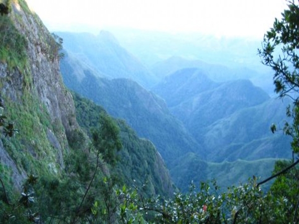 தற்கொலை முனை தற்கொலை முனை