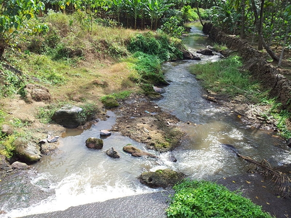  பைபிள் டவர்