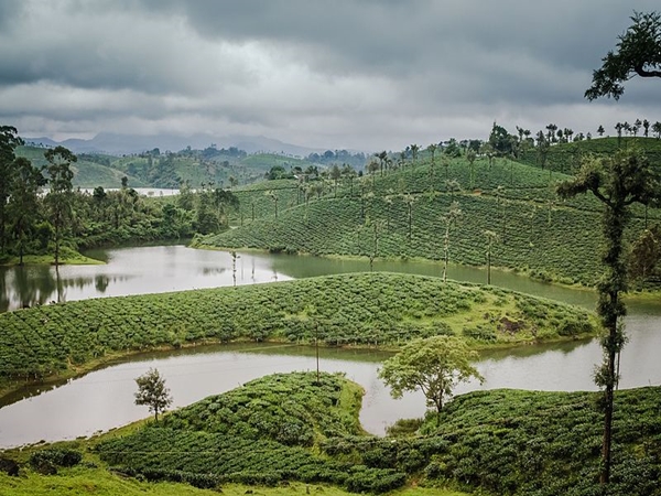 மானாம்பள்ளி