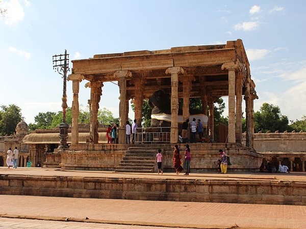 விழாக்கள்