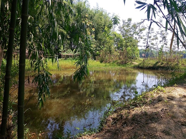 ஹாப்லாங்