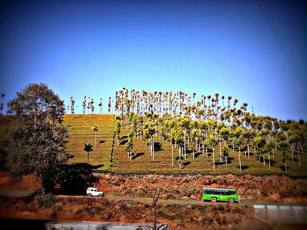 குன்னூர்