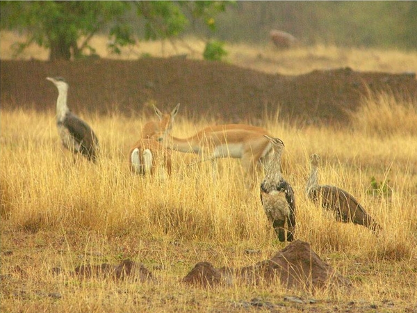 எப்படி இருக்கும்