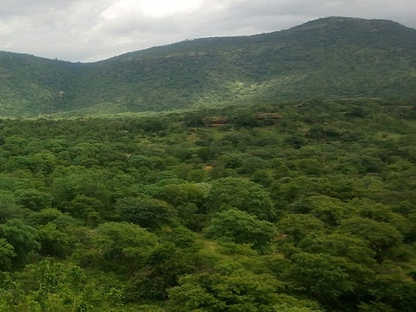 விருப்பமான சுற்றுலாத் தலம் விருப்பமான சுற்றுலாத் தலம்