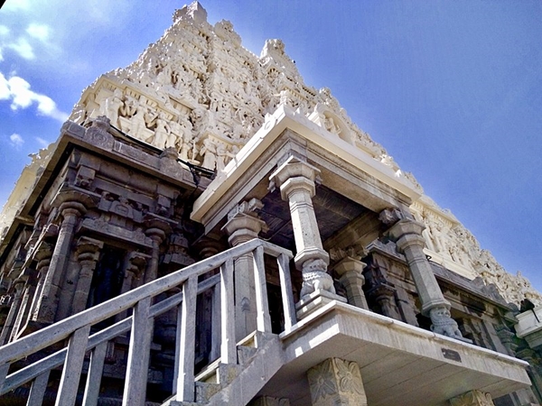 விழாக்கள்