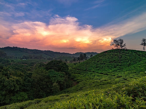 சக்லேஸ்பூர் சக்லேஸ்பூர்