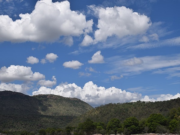 காவேரி வனவிலங்கு சரணாலயம்