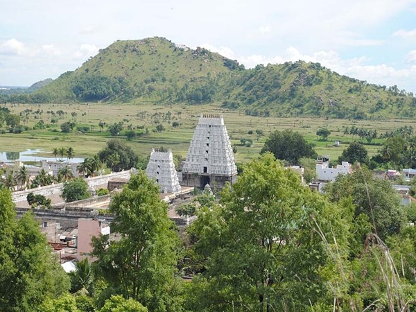 அன்னையின் திருவடி அன்னையின் திருவடி