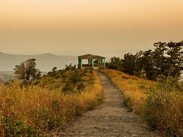 வில்சன் ஹில்ஸ்