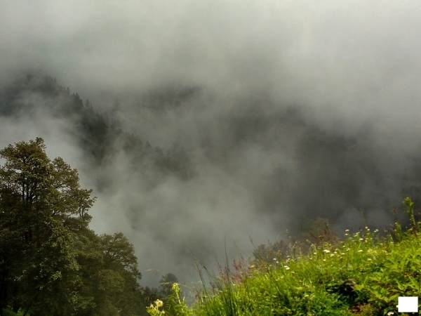 வெண்பளிங்குப்பாறை