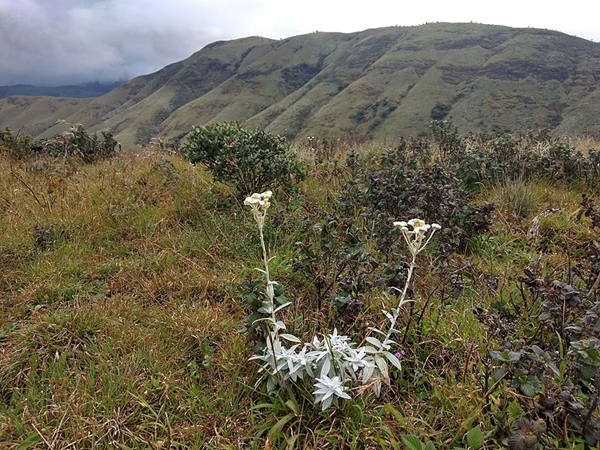 முக்கூர்த்தி தேசிய பூங்கா