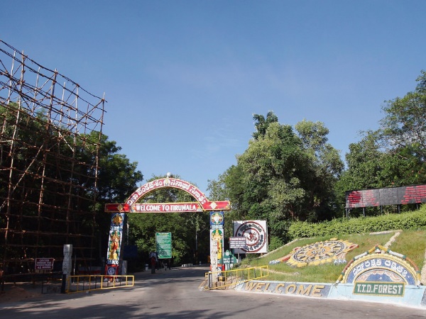  கோடிக்கணக்கில் புதையல்கள்