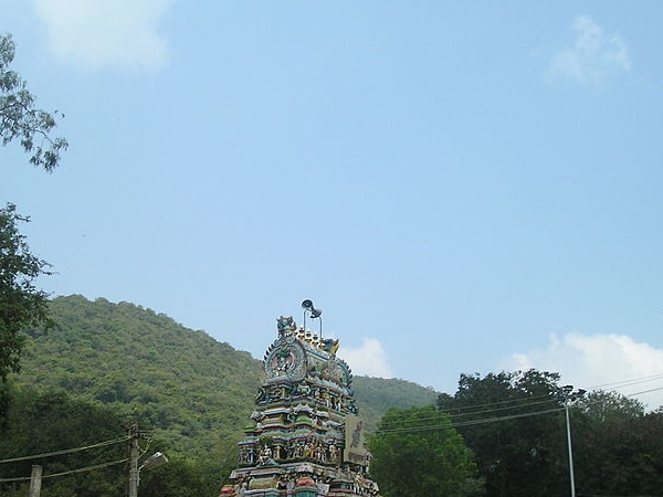 சிறப்பு சிறப்பு