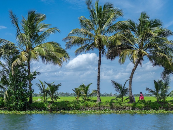  எப்போது, எப்படி ?