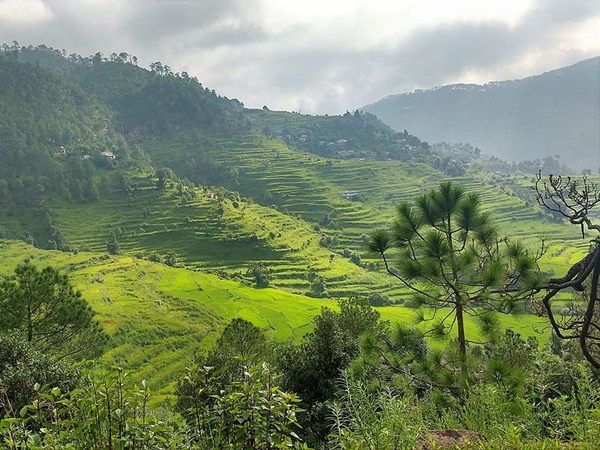 கௌஸனி கௌஸனி