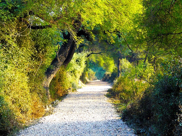 பாரத்பூர் பறவைகளுடன் உலா
