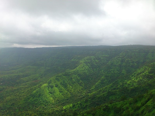 பச்சை மலைச்சரிவுகள்