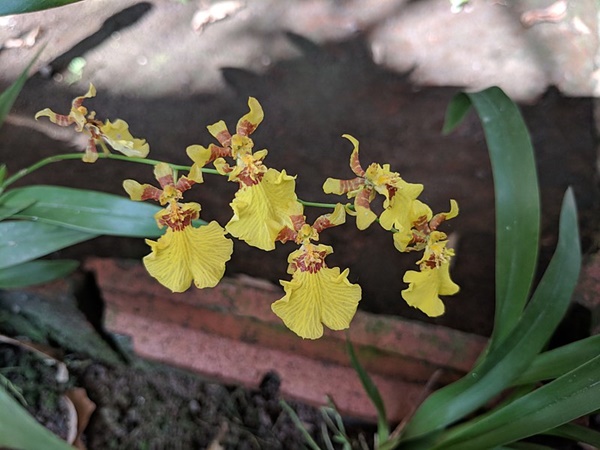 பொதுத் தகவல்கள்