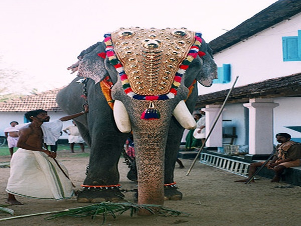 குருவாயூரப்பன்