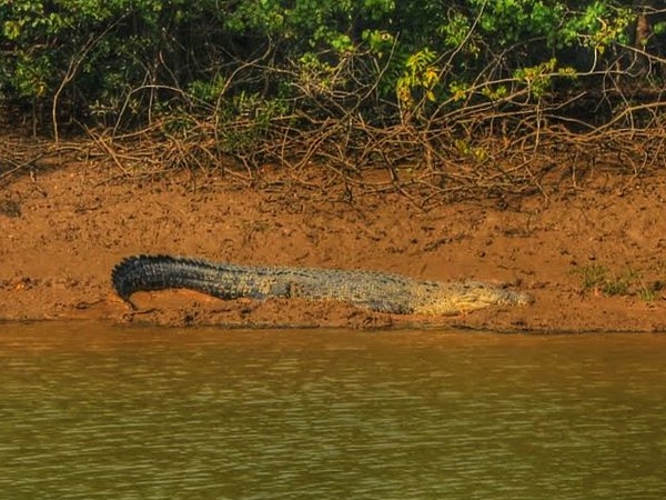  உணவுகளும் சிற்றுண்டிகளும்