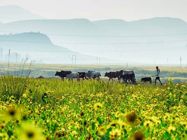  எப்படி செல்லலாம்