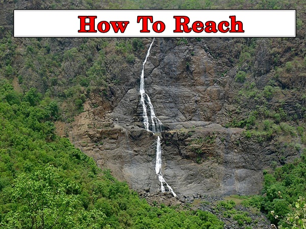 என்னென்ன விலங்குகள்