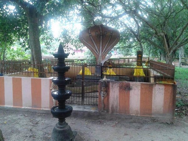 தல சிறப்பு 