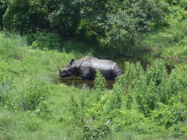 பிரிட்டிஸ் காலத்து பூங்கா