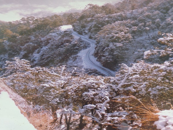 சாகச பயணிகள்