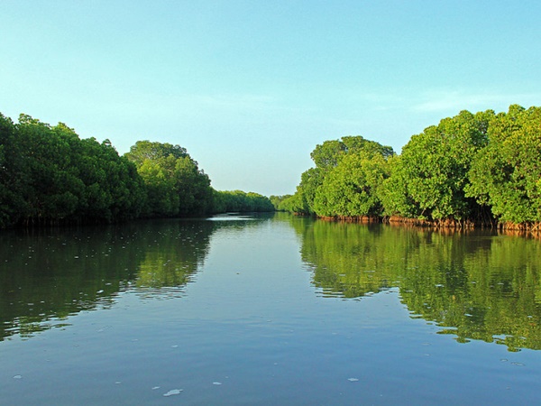 புதுச்சேரி - பிச்சாவரம்