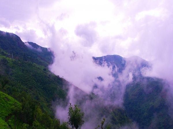  லேம்ப் பாறை 