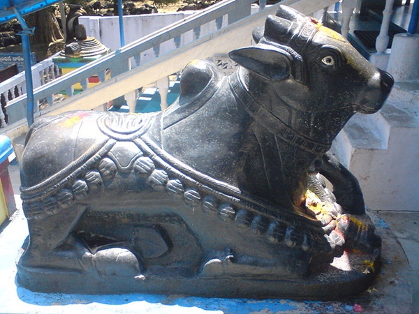  கலாச்சார சங்கமம்