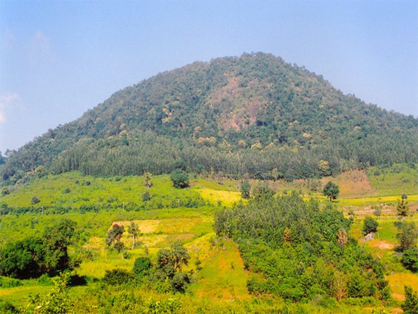 காப்பித் தோட்டங்கள்