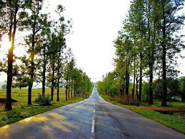 பழங்குடி அருங்காட்சியகம்