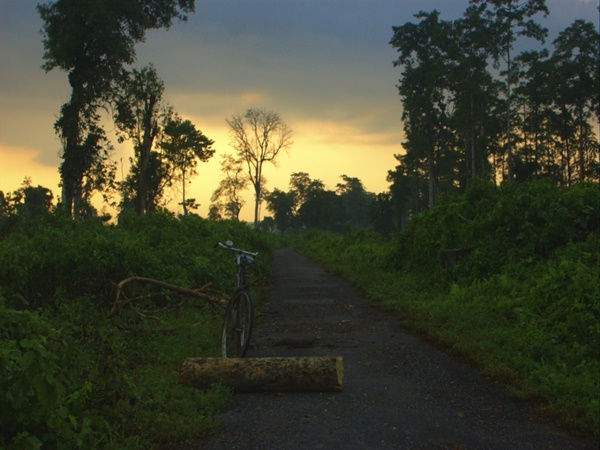  வெம்மையான நீரூற்றுகள்