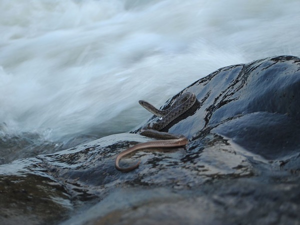 அழகிய காட்சிகள்