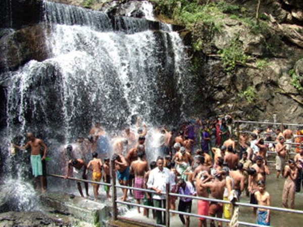 தேனி தேனி