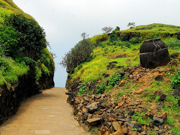 ஏயூர் மலைகள்