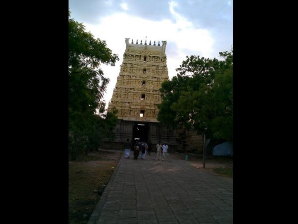 காணப்படும் இடங்கள்