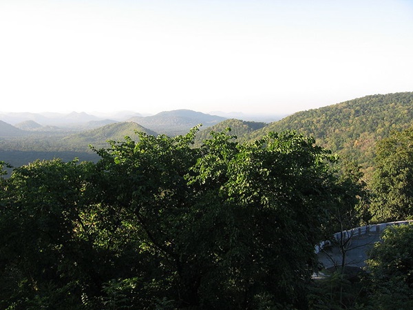  பண்பாடு மற்றும் திருவிழாக்கள்! 