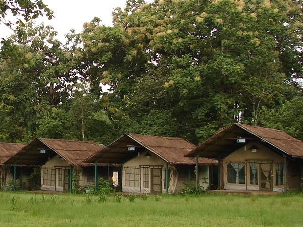 குல்கி இயற்கை மையம்