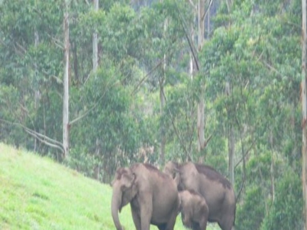 எக்கோ பாயிண்ட்