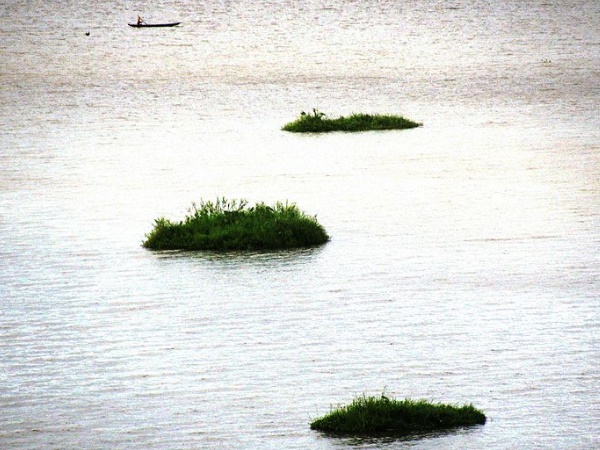 தனிச்சிறப்பு