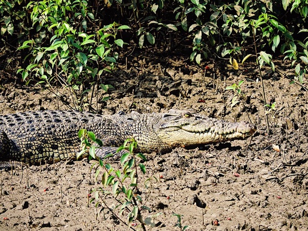 தேசியப்பூங்கா